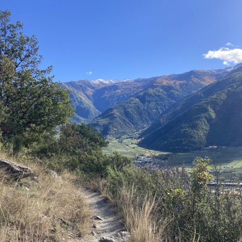 Feinste Trails mit Blick auf den Naturpark Stilfser Joch, in das Martelltal und ins Vinschgau