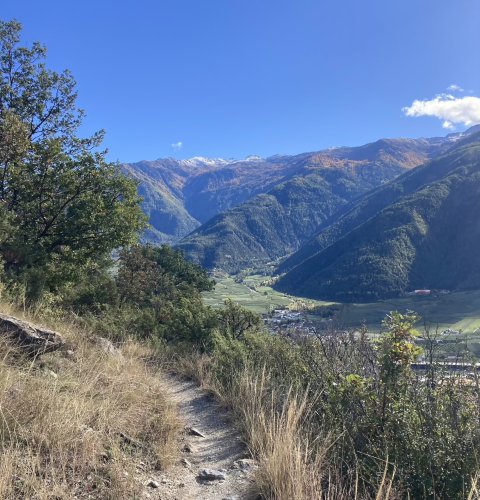 Feinste Trails mit Blick auf den Naturpark Stilfser Joch, in das Martelltal und ins Vinschgau